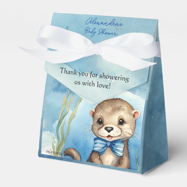 Baby Otter Boy Baby Shower Presentaskar (Framsidan Sidan)