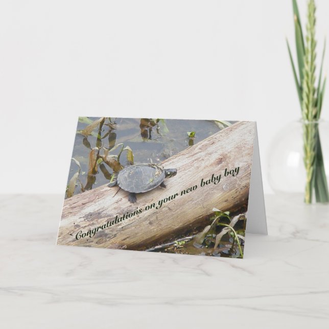 Baby Paint Turtle Nyfödd bebis Boy Card Kort (Framsida)