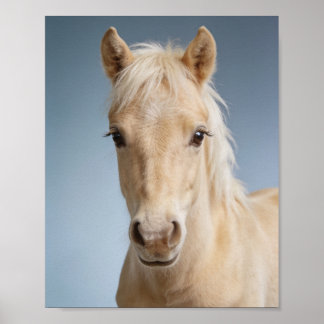 Baby Palomino Ponny Porträtt – Sött Djur för Barnk Poster