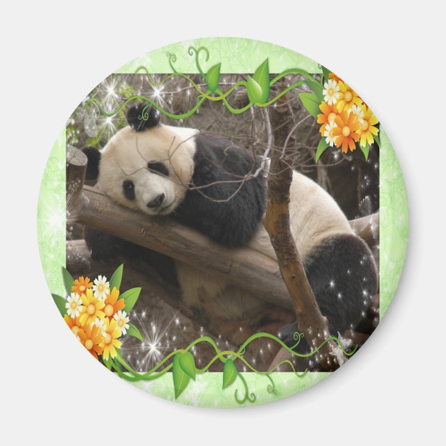 baby-panda-00018-85x85 magnet (Framsidan)