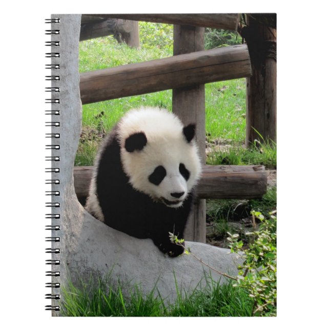 Baby Panda Anteckningsbok (Framsidan)