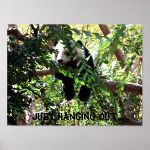 Baby Panda Humous Poster