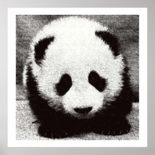 Baby Panda Konst Posters Utskrifter