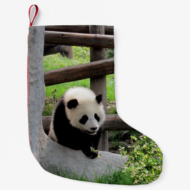 Baby Panda Liten Julstrumpa (Framsidan)