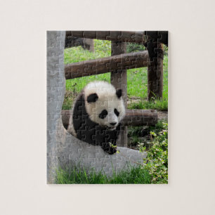 Baby Panda Pussel