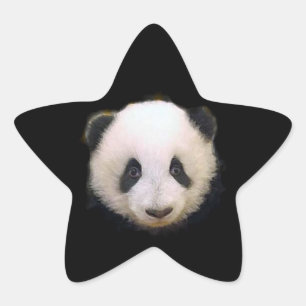 Baby Panda Star Sticker Stjärnformat Klistermärke