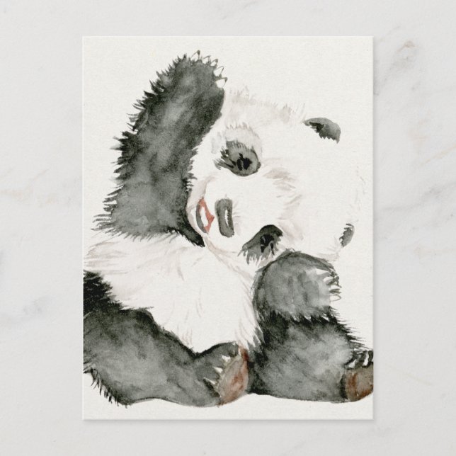 Baby Panda | Styrning och Hårig Vykort (Framsida)