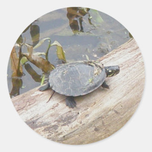 Baby Paweatade Turtle Stickers Runt Klistermärke