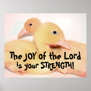 Baby Pekin Anka Duckling Bird Animal Pet Poster