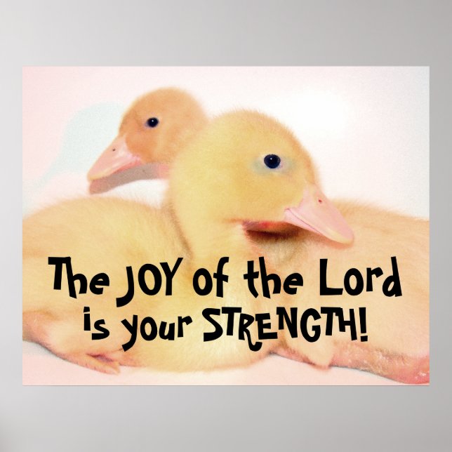 Baby Pekin Anka Duckling Bird Animal Pet Poster (Framsidan)