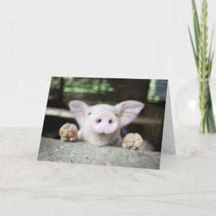 Baby Pig in Pen, Piglet Kort