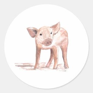 Baby piglet gris art Djurvattenfärgsgård Runt Klistermärke
