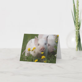 Baby Piglet i Fält i Gula blommor Kort
