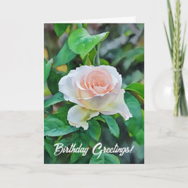 Baby Pink Rose Flower Garden Art Birthday Card Kort