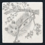 Baby Possum Stone Underlägg<br><div class="desc">Baby possum i träd</div>