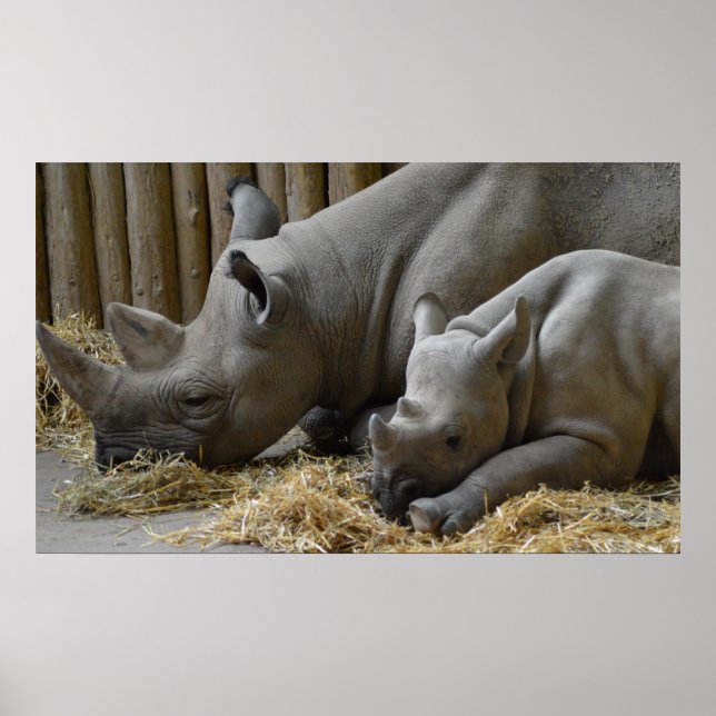 Baby Poster (Framsidan)