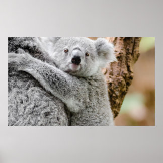 Baby Poster