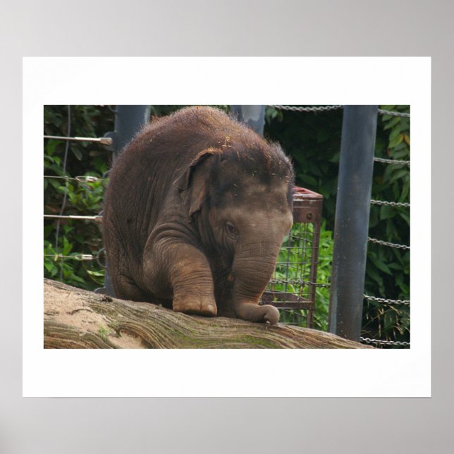 Baby Poster (Framsidan)