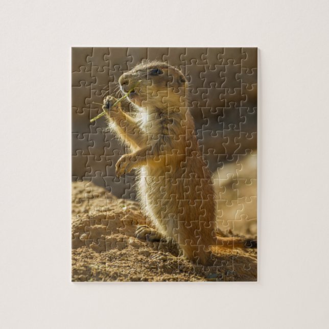 Baby prairie hund eat, Arizona Pussel (Vertikal)