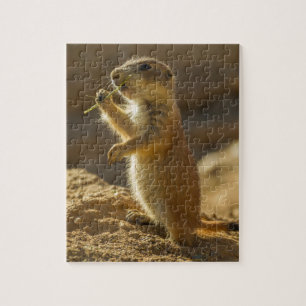 Baby präriemarmot äter, Arizona Pussel