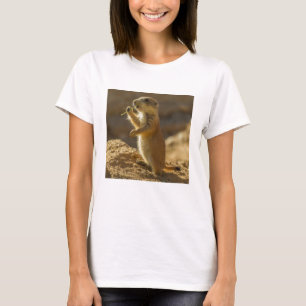 Baby präriemarmot äter, Arizona T Shirt