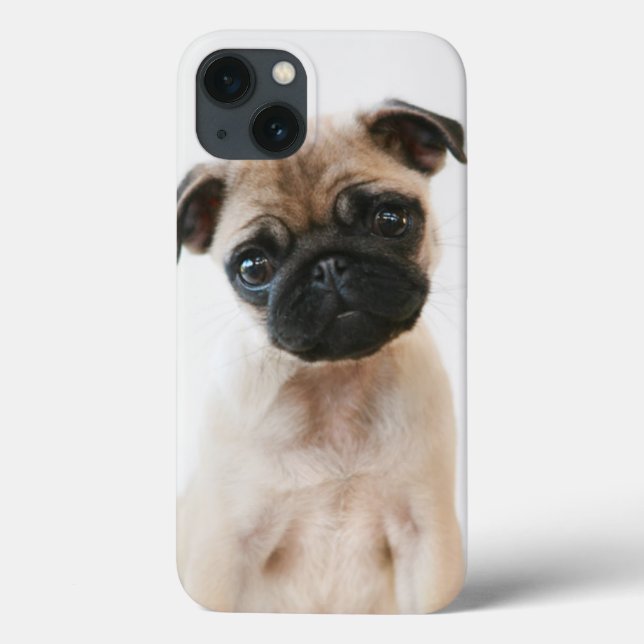 Baby Pug Porträtt (Baksida)
