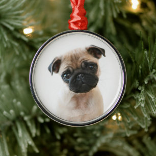 Baby Pug Porträtt Julgransprydnad Metall