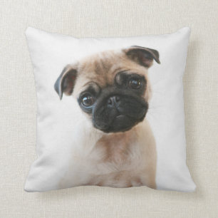 Baby Pug Porträtt Kudde