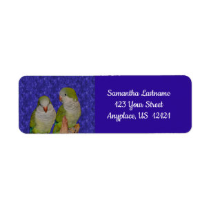 Baby Quaker Parrot Pair Animal Adress Returadress Etikett