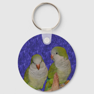 Baby Quaker Parrot Pair Animal Nyckelring