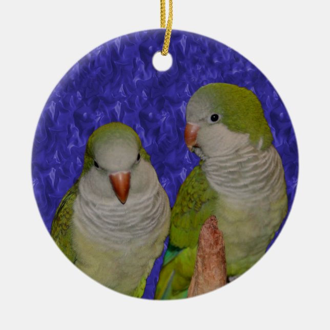 Baby Quaker Parrot Pair Bird Ornament (Framsidan)