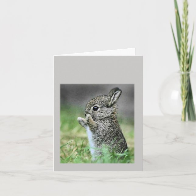 Baby Rabbit Kort (Framsida)