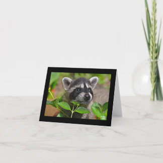 Baby Raccoon Notecard Kort
