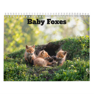 Baby Rävar 2027 Kalender