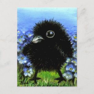 Baby raven vykort