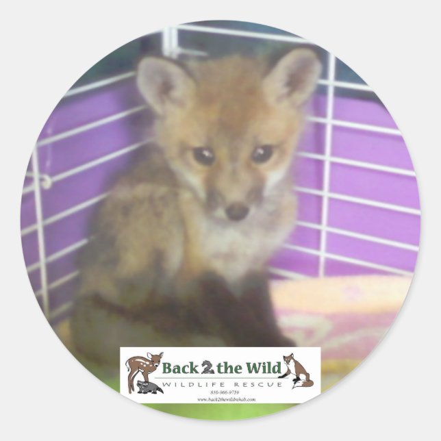 baby rävsax runt klistermärke (Framsida)