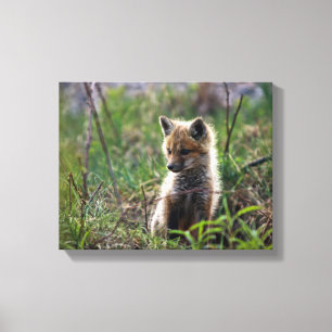 Baby Red Fox Canvastryck