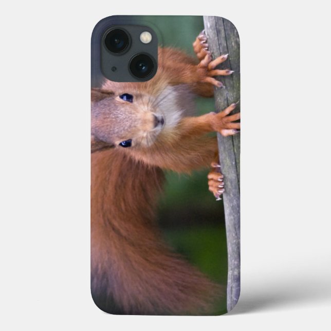 Baby Red iPad Case (Baksida)