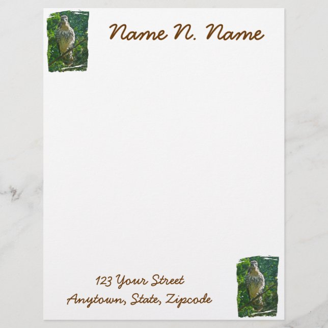 Baby Red Tails Hawk Letterhead Stationery Brevhuvud (Framsida)