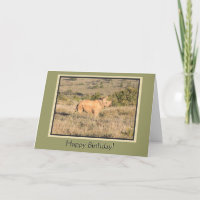 Baby Rhino Grattis på födelsedagen