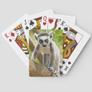 Baby ring-tailed lemur spel kort