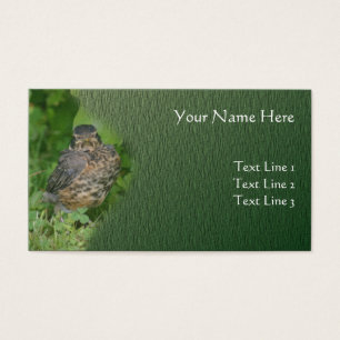 Baby Robin Fledgling Bird Natature Visitkort
