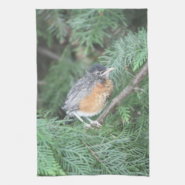 Baby Robin Hand-towel Kökshandduk (Vertikal)