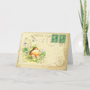 Baby Robin med Violets Card Kort