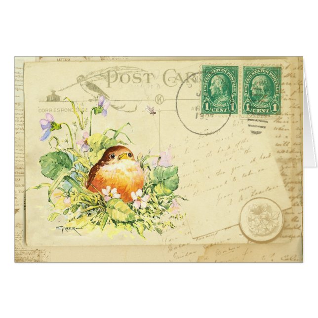 Baby Robin med Violets vykort Hälsningskort (Framsidan Horizontal)