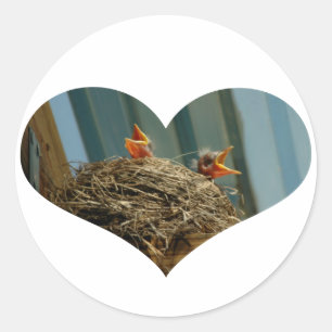 Baby Robins Heart Sticker Runt Klistermärke