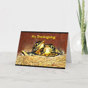 Baby Robins Thanksgiving Humor Helgkort