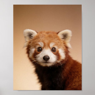 Baby Röd Panda Porträtt – Söt Nursery Djur Vägg Poster