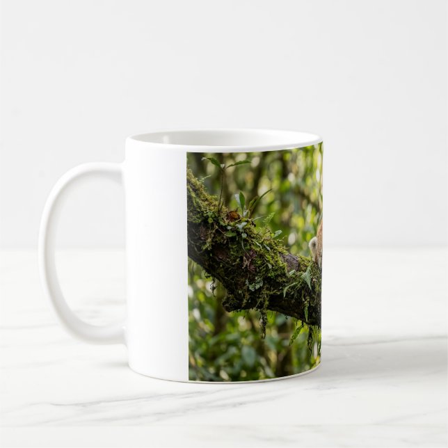 Baby Röd Panda Vilar i ett Träd Kaffe Mugg (Vänster)