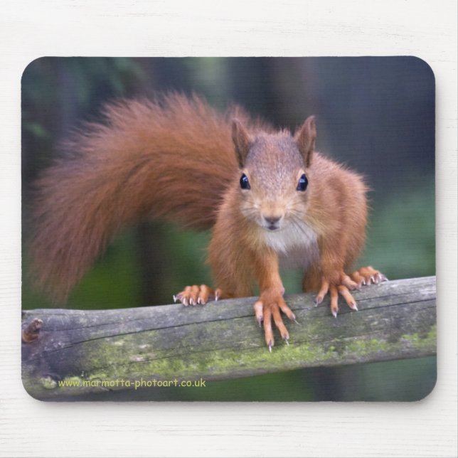 Baby röda Mousemat Musmatta (Framsidan)